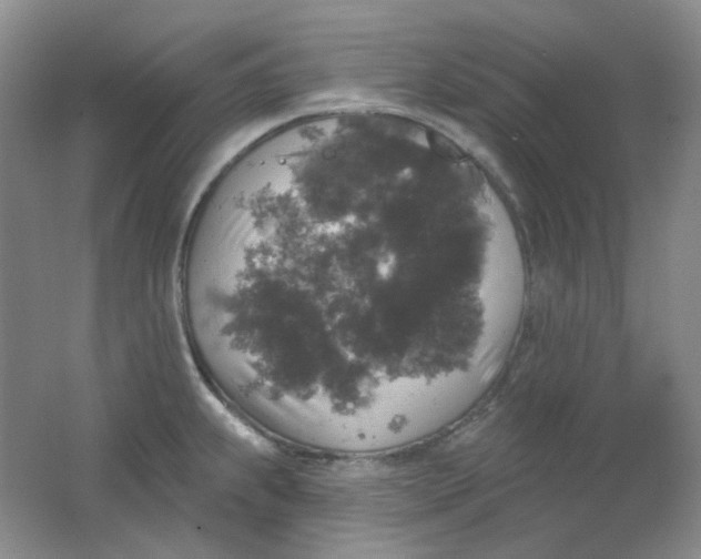 X0000062141239200512231456