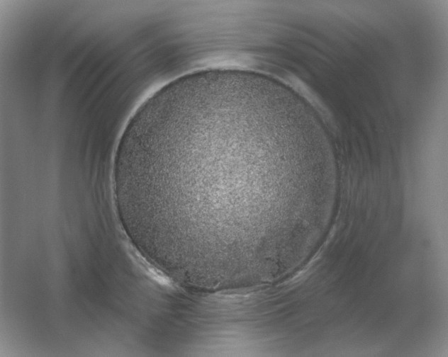 X0000062141240200512231456