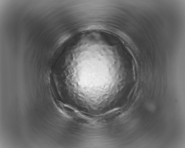 X0000062141241200512231456