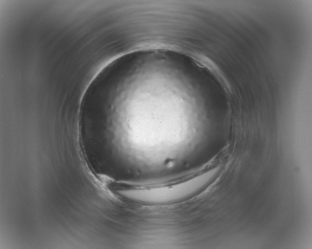 X0000062141244200512231456