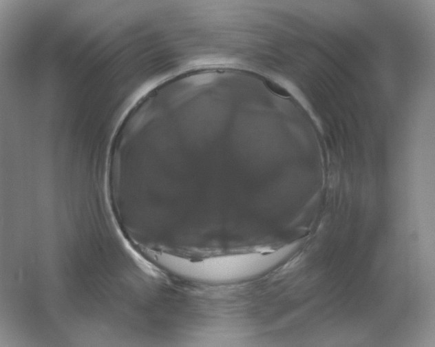 X0000062141245200512231456