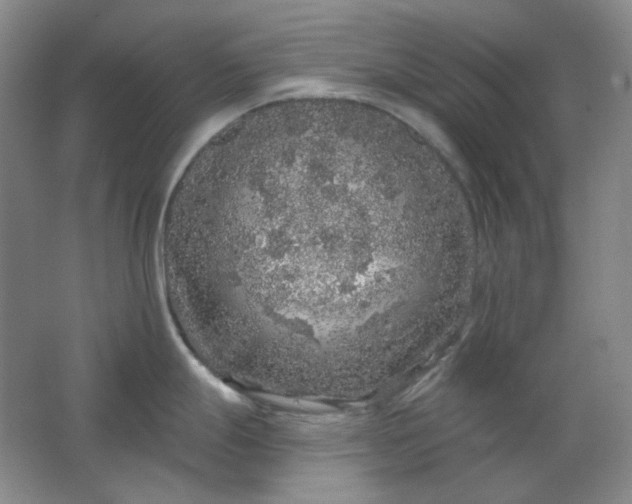 X0000062141247200512231456