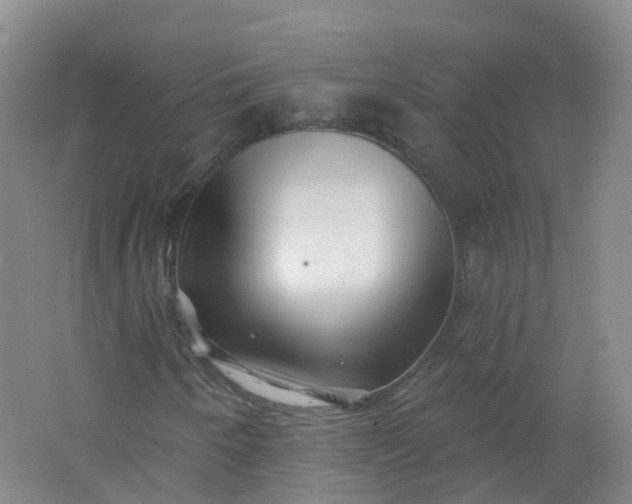 X0000062141250200512231455