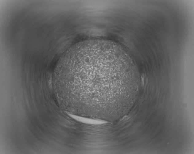 X0000062141251200512231455