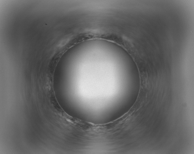 X0000062141253200512231455