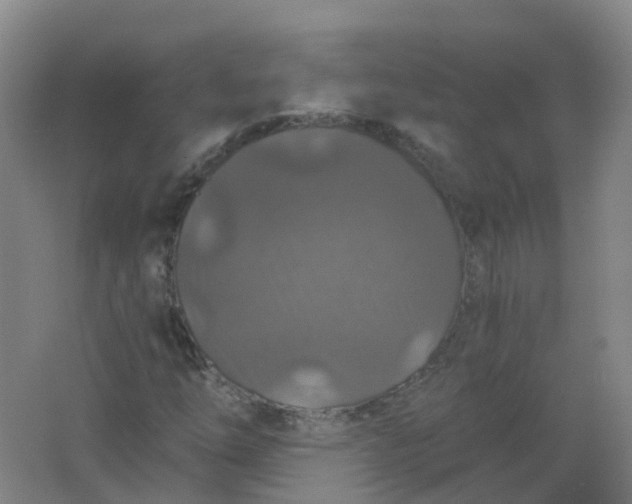 X0000062141254200512231455