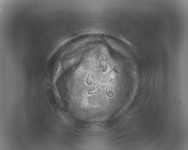 X0000062141255200512231455