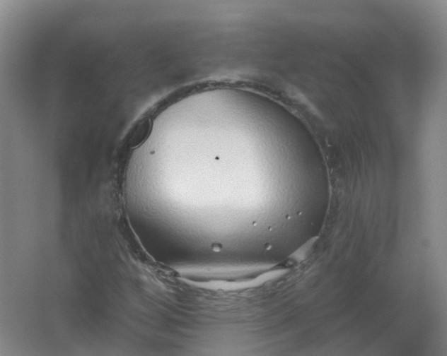 X0000062141256200512231455