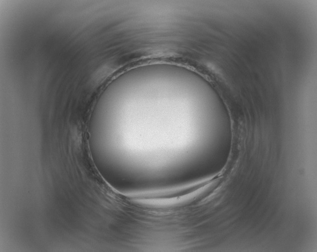 X0000062141257200512231455