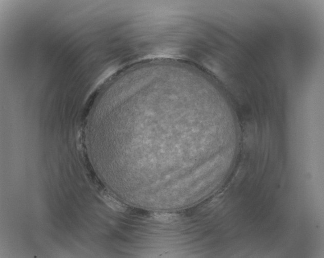 X0000062141258200512231455