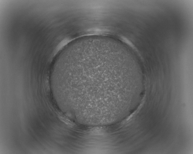 X0000062141259200512231455