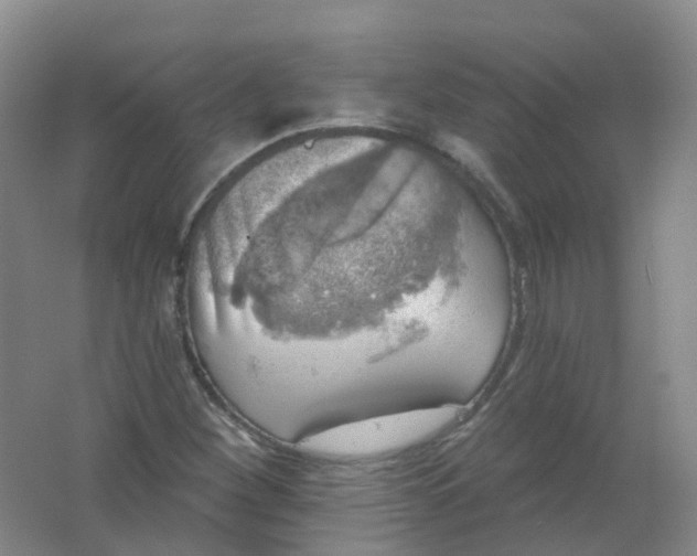 X0000062141260200512231455