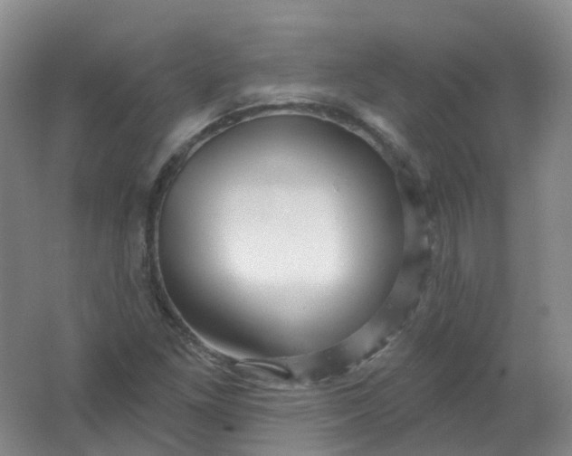 X0000062141261200512231455