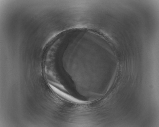 X0000062141262200512231455