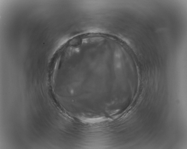 X0000062141263200512231455