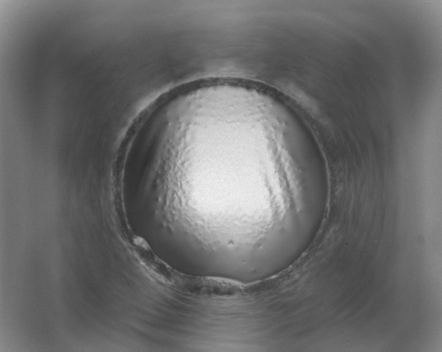 X0000062141264200512231455