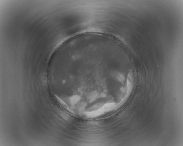 X0000062141266200512231455