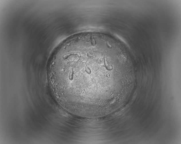 X0000062141267200512231455