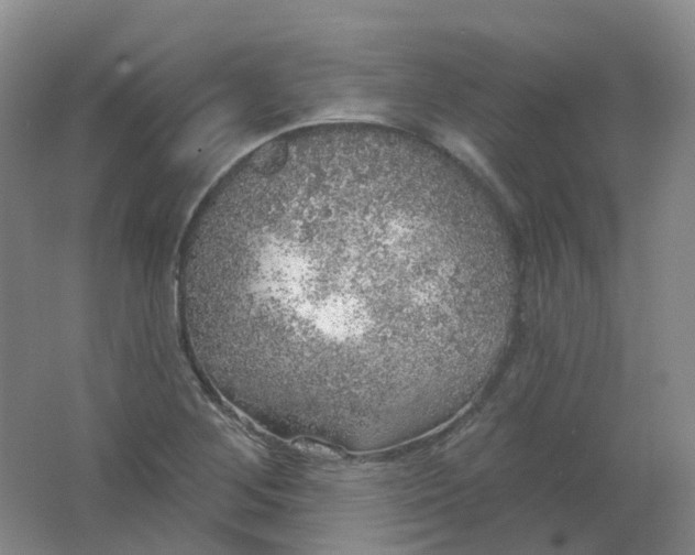 X0000062141268200512231455