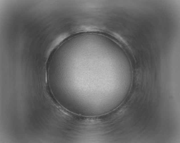 X0000062141269200512231455