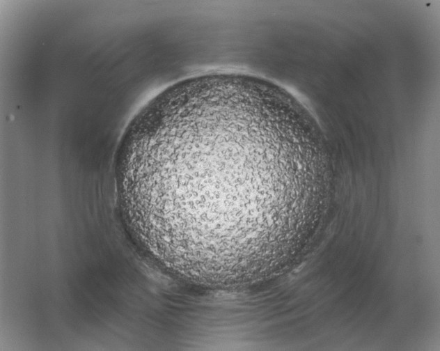 X0000062141271200512231455