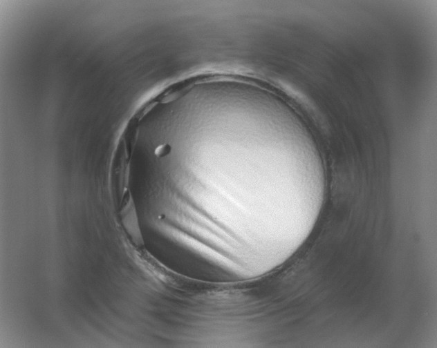 X0000062141272200512231455