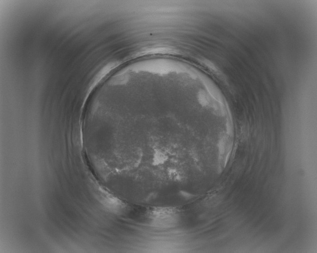 X0000062141274200512231455