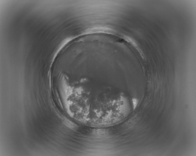 X0000062141275200512231455