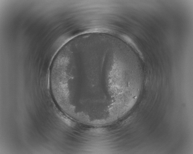 X0000062141276200512231455