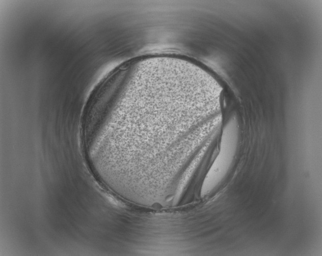 X0000062141277200512231455