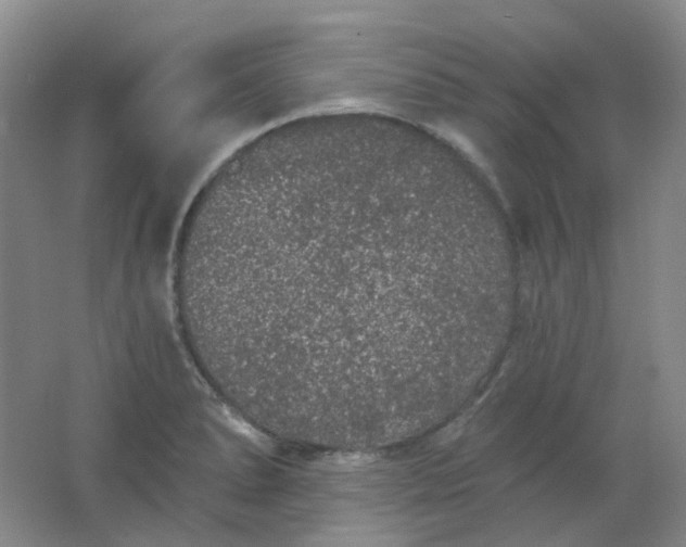 X0000062141278200512231455