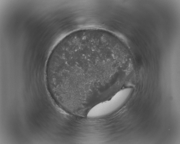 X0000062141279200512231455