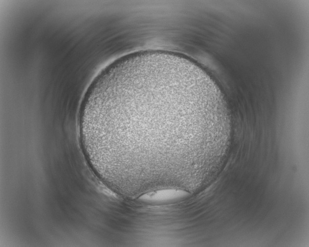 X0000062141280200512231455