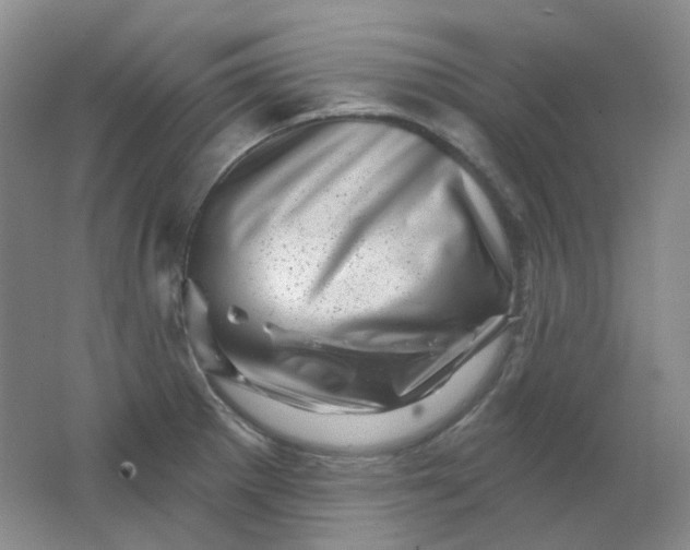 X0000062141281200512231455