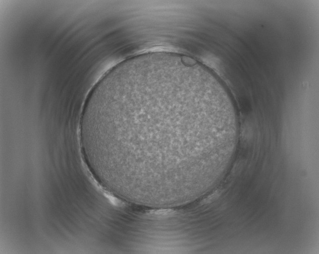 X0000062141282200512231455