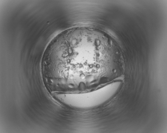 X0000062141283200512231455