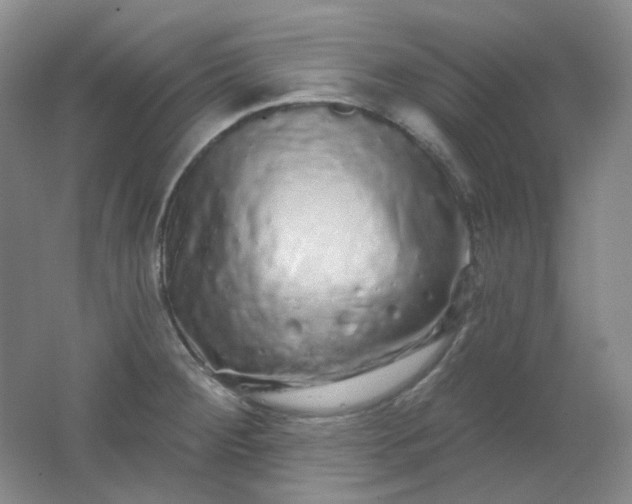 X0000062141284200512231455