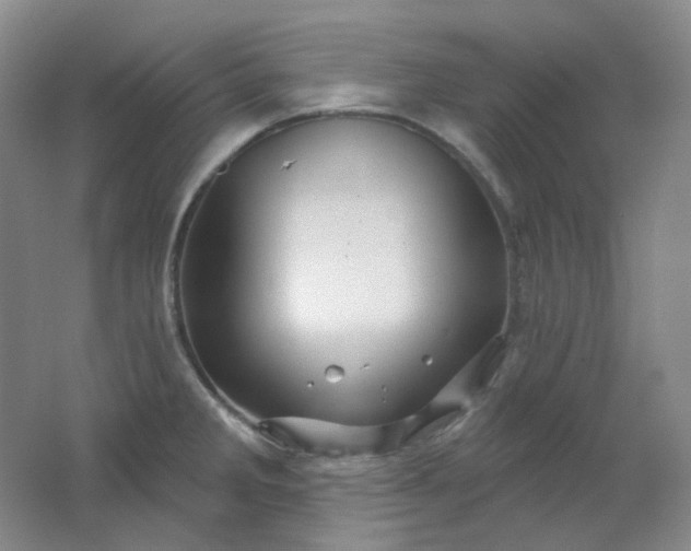 X0000062141285200512231455