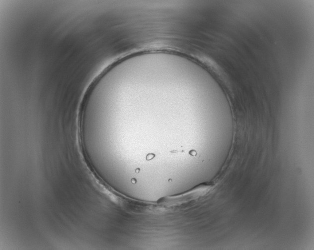 X0000062141286200512231455