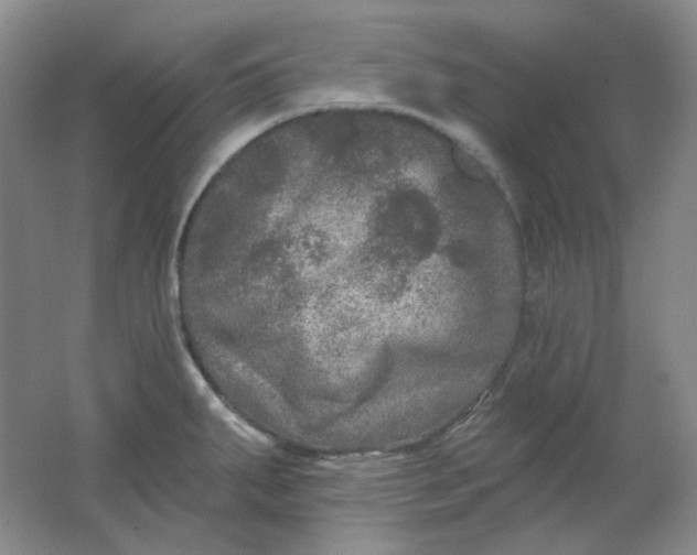 X0000062141287200512231455