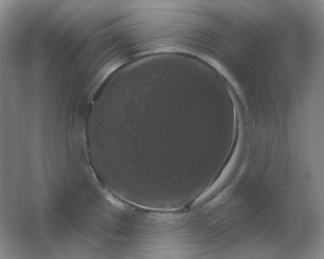 X0000062141289200512231455