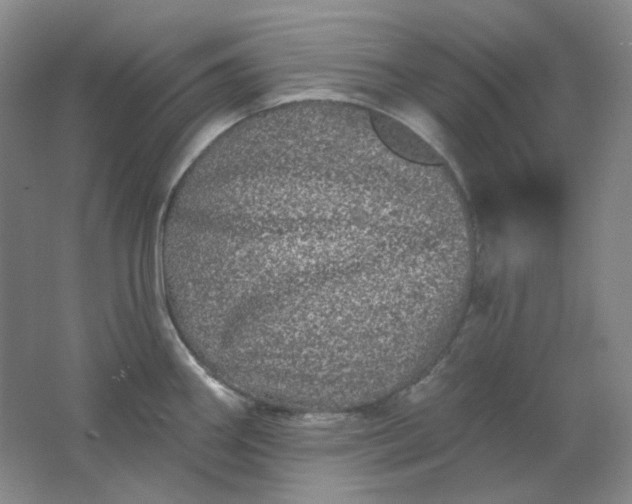 X0000062141290200512231455