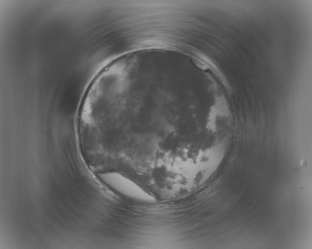 X0000062141291200512231455