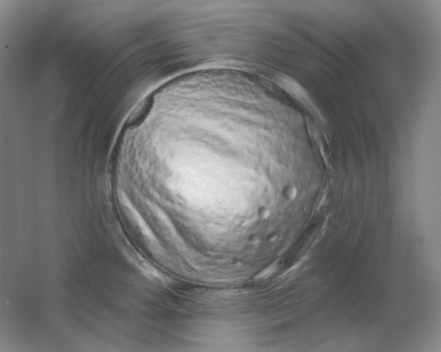 X0000062141292200512231455