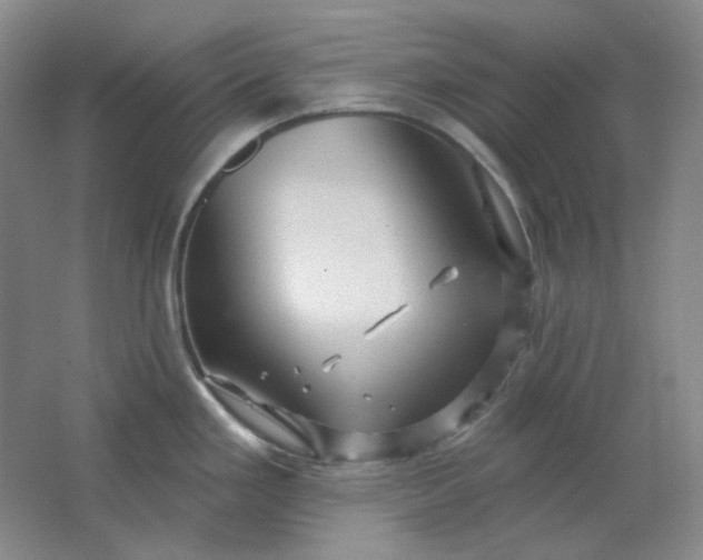 X0000062141293200512231455