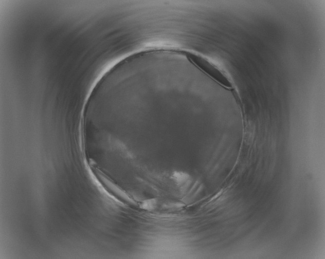 X0000062141295200512231455