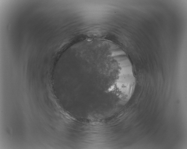 X0000062141297200512231454