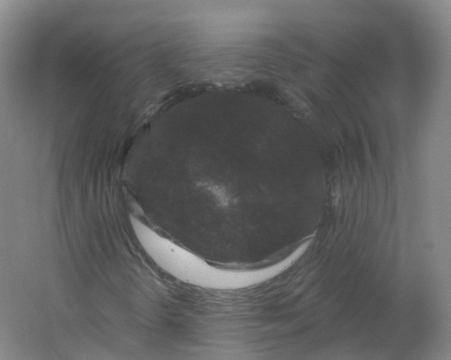 X0000062141298200512231454