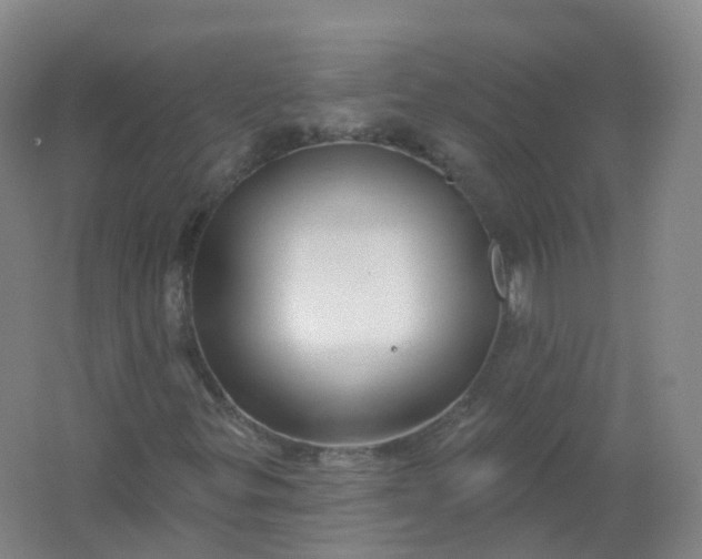 X0000062141299200512231454