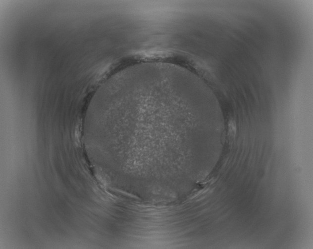 X0000062141300200512231454